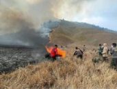 Kebakaran Savana Bromo Capai Ratusan Hektare dengan 7 Titik Api, Kepala BB TNBTS: 6 Berhasil Padam, 1 Belum