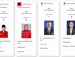 DPR RI Jateng VI