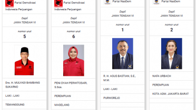 Persaingan Nama Besar di DCS DPR RI Jateng VI, Artis Nafa Urbach hingga Dua Eks Bupati Rebutkan 8 Kursi