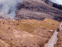 Pipa Saluran Air Terputus, 6 Desa Alami Krisis Air Bersih Imbas Kebakaran di Bukit Teletubbies Bromo