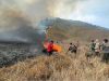 kebakaran bromo