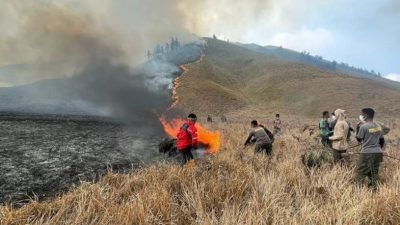 Kebakaran Savana Bromo Capai Ratusan Hektare dengan 7 Titik Api, Kepala BB TNBTS: 6 Berhasil Padam, 1 Belum