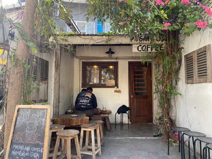 Pygmy Owl Coffee