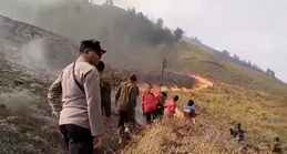 kebakaran di savanah bromo