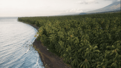 3 Destinasi Liburan Fantastis dan Gratis di Bali, Jadi Langganan Turis!