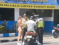bule di bali