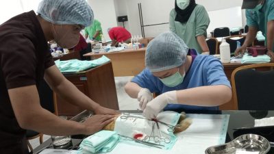 Cat Rescuer di Semarang Selamatkan Belasan Kucing Liar, Senang Ada Vaksinasi Rabies Gratis