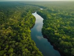 Beberapa Fakta Menarik Mengenai Sungai Amazon, Nomor 5 Sangat Berbahaya