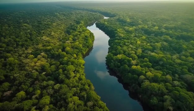 sungai Amazon