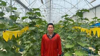 Kisah Arvin Rintis Laguna Greenhouse, Ajak Anak Muda Jadi Petani
