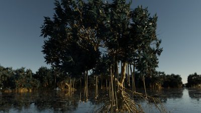 Uniknya Wisata Graha Mangrove Kalimantan Timur Buat Liburan Akhir Pekanmu, Mampir Yuk!
