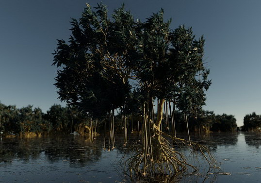 ilustrasi mangrove