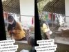 ibu-ibu kasih makanan ke nenek