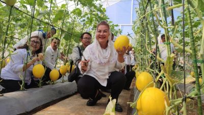 Panen Melon, Mbak Ita Gelorakan Semangat Ayo Nandur