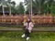 Wisata Taman Gandrung Terakota
