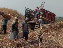 Program ATM Perhutani Serap Tenaga Lokal Ratusan Orang