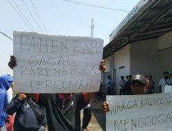 Limbah Rumah Pemotongan Ayam Hajar Aswad Cemari Ratusan Hektar Sawah