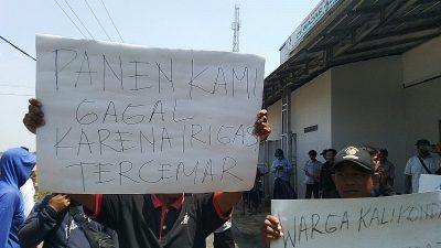 Limbah Rumah Pemotongan Ayam Hajar Aswad Cemari Ratusan Hektar Sawah