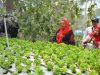 Ciptakan Teknologi Pertanian