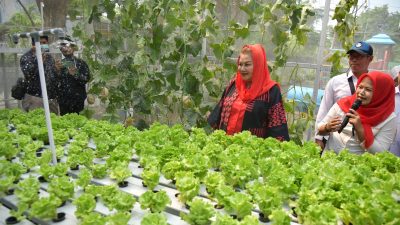 Resmikan Urban Farming di Sekolah Nusaputera, Mbak Ita Bangga Anak-anak Muda Ciptakan Teknologi Pertanian