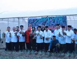 Upaya Jaga Ketahanan Pangan, Mbak Ita Libatkan Masjid Lakukan Urban Farming