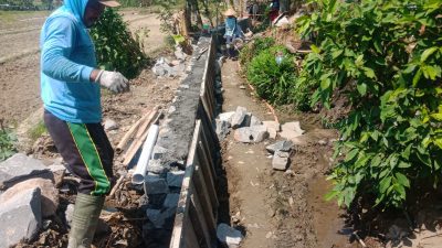 Pemkot Selesaikan Rehabilitasi Jaringan Irigasi Tingkatkan Hasil Panen Petani Semarang