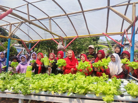 Harga Cabai Naik