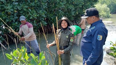 Maknai Sumpah Pemuda dengan Tanam Mangrove