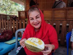 Angkat Potensi dan Lindungi Petani Durian Lokal, Ini Yang Dilakukan Walikota Semarang