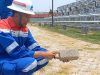 Limbah Gas Paving Blok