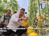 Agro Purwosari