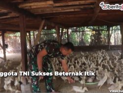 Video Inspiratif, Anggota TNI Ini Sukses Beternak Itik