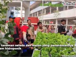 Video Ada Farming Canggih Canggih di Sekolah Nusaputera