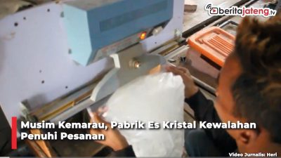 Video Musim Kemarau, Pabrik Es Kristal Kewalahan Penuhi Pesanan