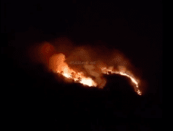 Info Kebakaran Terkini, Lereng Gunung Ungaran Dilalap Api, Lokasi Dekat Hutan Pinus Candi Gedong Songo