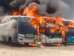 Lima Bus di Cirebon Ludes Terbakar, Diduga Karena Hal Ini