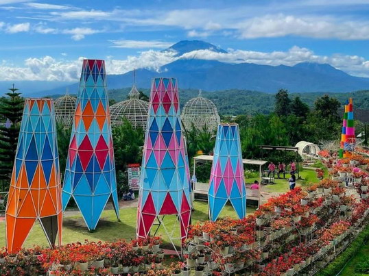 Taman Bunga Celosia Bandungan