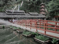 The Great Asia Africa