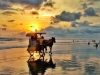 Pantai Parangtritis