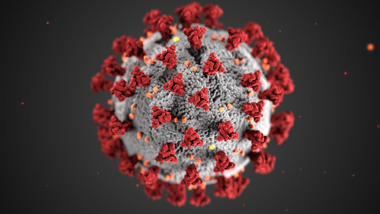 ilustrasi virus cacar monyet