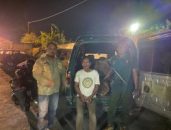 Perhutani Pembalakan Liar