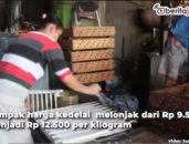 produsen tahu semarang