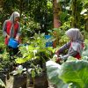 Semen Gresik Bumi Kartini