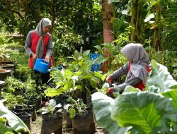 Semen Gresik Bumi Kartini