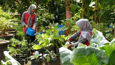 Program Pemberdayaan Bumi Kartini Semen Gresik Dorong Penghasilan Warga Hingga Jutaan Rupiah