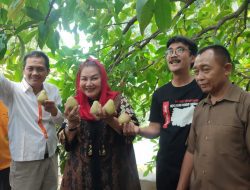 BRIDA Riset