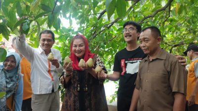 Walikota Semarang Dorong Pengembangan Riset Pangan dan Tanaman lewat BRIDA