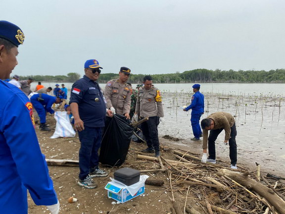 Tanam Mangrove Pulau Arnavat