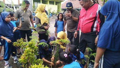 Siswa SDN Surodadi Tanam Ratusan Pohon Cemara Laut dan Ketapang