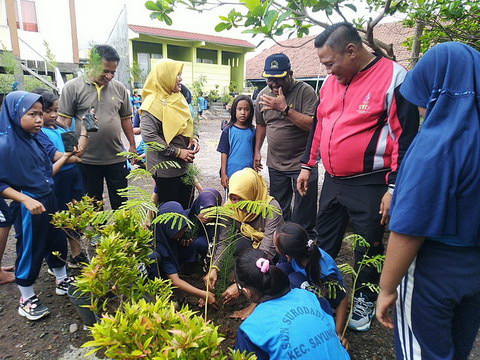 SDN Surodadi Tanam Pohon Cemara Laut